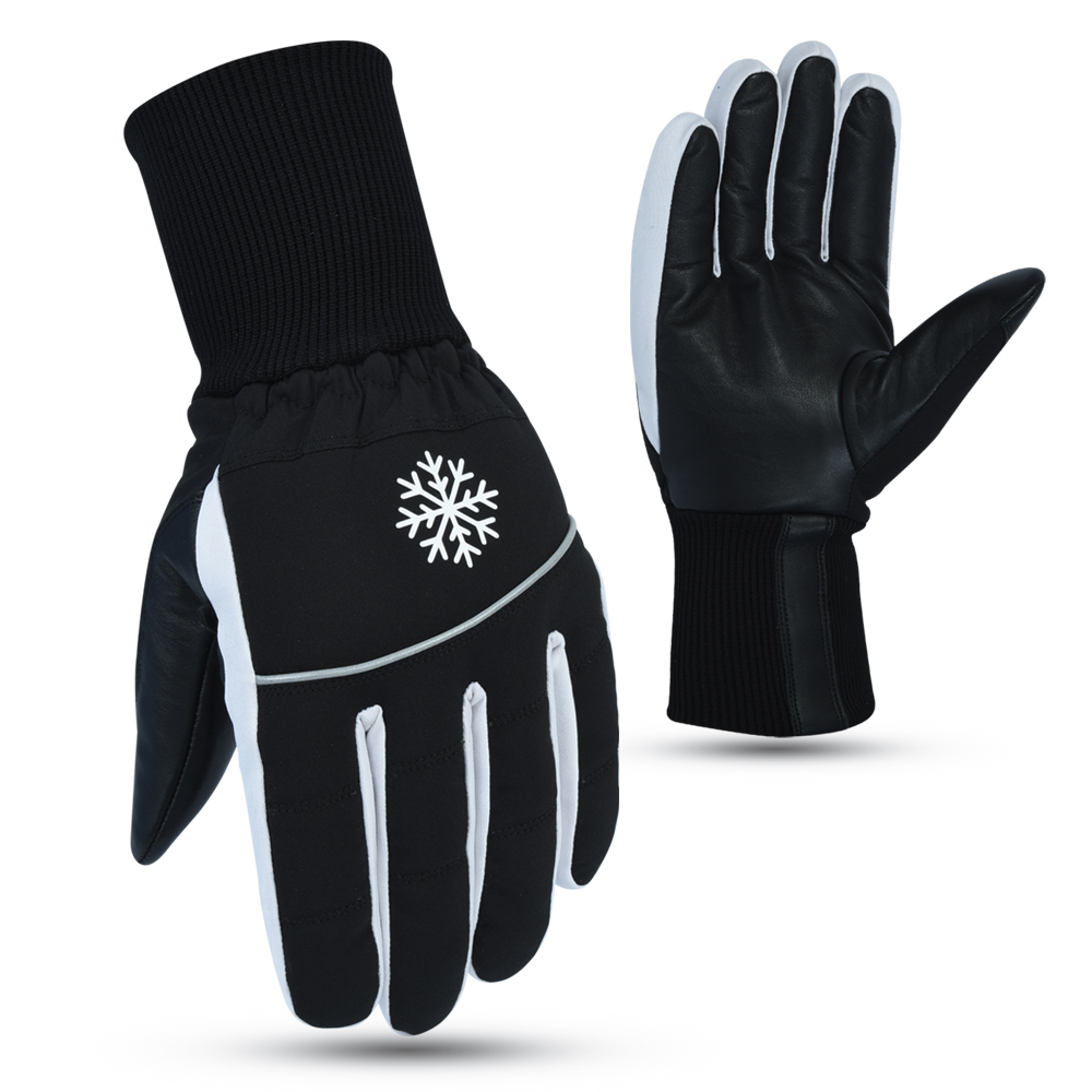 Winter Gloves